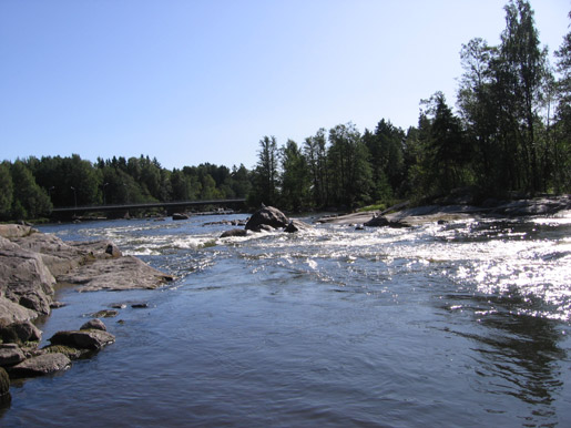 Upė, kurioje žvejojamos lašišos